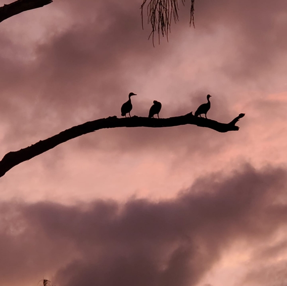 Profile Picture of William Roddey (@williamroddey) on Poshmark