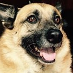 Profile Picture of Deborah Trotter (@deborahtrotter8094) on Instagram