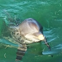 Profile Picture of Brian Orellana (@brian-orellana-3) on Quora