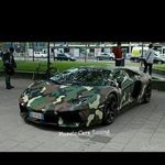 adam dellert - Instagram Profile Picture of adam dellert (@ad_mali_) on Instagram