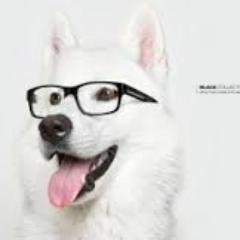 Profile Picture of Kelvi Renee Enriquez (@kelvi_e) on Twitter