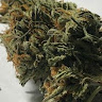 Profile Picture of Joseph Saraco (@joseph-saraco) on Quora