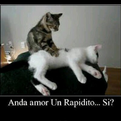 Profile Picture of Ivan Bastidas (@ivanbastidas125) on Twitter