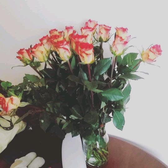 Profile Picture of Dorota Szczepanska (@d.szczepanska93) on Tiktok
