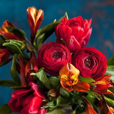 Profile Picture of (((Ann-Theres Wiegand))) 🥀 (@AnnT_Wiegand) on Twitter