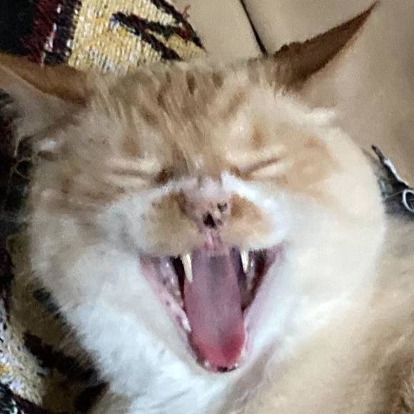 Profile Picture of Jared Stackman (@jaredstackman) on Poshmark