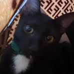 Profile Picture of Michael Null (@silentshadow.null.92) on Facebook