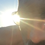 Profile Picture of Aidan Martin (@awdmartin) on Flickr