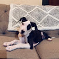 Profile Picture of Maddy Bryan (@maddy-bryan-6) on Quora