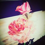 Profile Picture of Sebastian Alejos Lopez (@zebas_lopez11) on Instagram