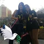 Profile Picture of Sandra Ines Percello (@sandrainespercello) on Instagram