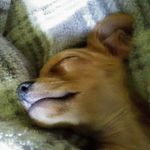 Profile Picture of Priscilla Wilkinson (@cilla02007) on Instagram