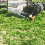 Profile Picture of Thomas Bielen (@thomasbielen) on Instagram