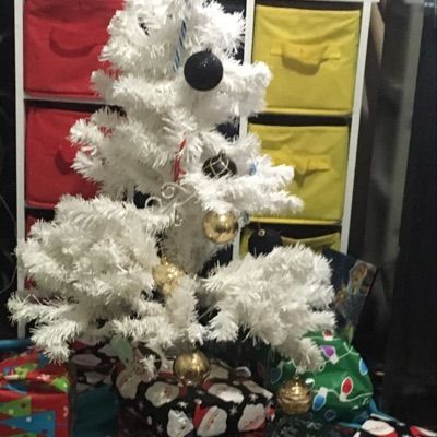 Profile Picture of Brae Chesney (@braechesney1) on Tiktok