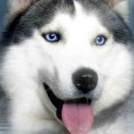 Profile Picture of Hailey Daniels (@haileydaniels51) on Instagram