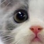 Profile Picture of Daniel Rayner (@omgsec) on Instagram