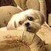 Profile Picture of Doris Dickson (@dorisdickson48) on Pinterest