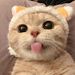 Profile Picture of Võ Hàn Mạnh (@vhnmnh) on Pinterest