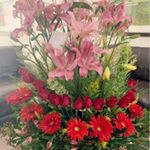 Profile Picture of Maryjv (@marisol_jaimes_v) on Instagram