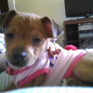 Profile Picture of Erin Barron (@shrimp_aka_carebear) on Myspace