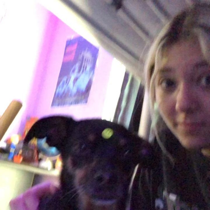 Profile Picture of payton (@paytonschulz) on Tiktok