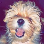 Profile Picture of Laci (@laci.brooke_._) on Instagram