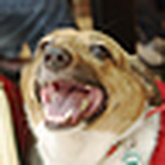 Profile Picture of June Lin (@brookjune2000) on Flickr