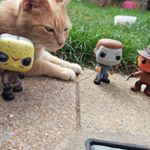 Profile Picture of Patrick Jarvis (@frankdeerabbit) on Instagram
