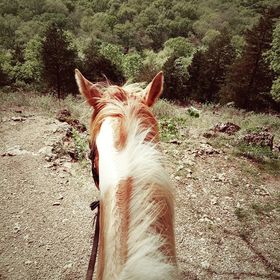 Profile Picture of Danielle Skaggs (@Idlelane2) on Pinterest