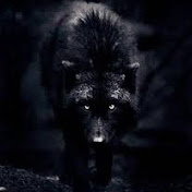 Profile Picture of Christopher Carpenter (@christophercarpenter7363) on Youtube