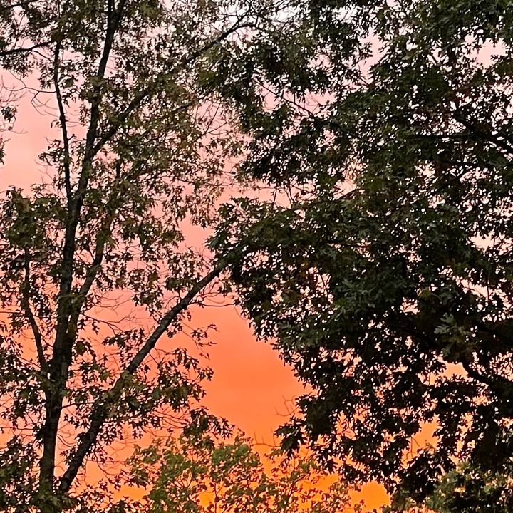 Profile Picture of Matt Mershon (@.420__0) on Tiktok