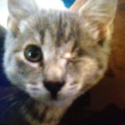 Profile Picture of Derrick Whitehead (@ovenoperator75) on Twitter