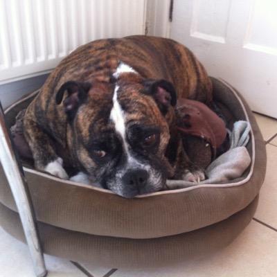 Profile Picture of Sean Kenneally (@SeanKenneally1) on Twitter