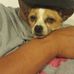 Profile Picture of Peter Nino (@peter.nino.7923) on Facebook