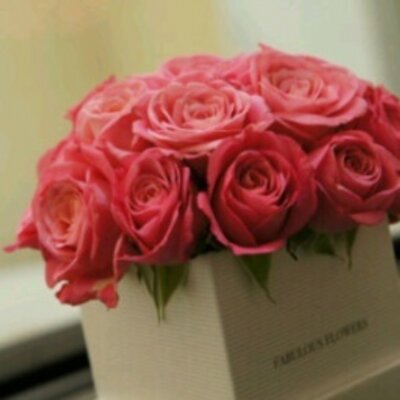 Profile Picture of فتاكات (@GlennMalone3) on Twitter