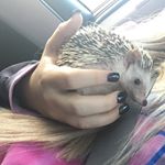 Profile Picture of Richard Theodore (@_richardtheodore) on Instagram