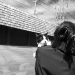 Profile Picture of Niveous_ (@niveous_) on Flickr