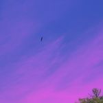 Profile Picture of caleb fournier (@calebistall) on Instagram