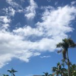 Profile Picture of James (@jamesleonistravel) on Instagram