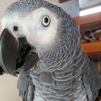 Profile Picture of Paul Haggett (@paul-haggett-5) on Quora