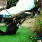 Profile Picture of Kerry Clift (@kerryd46skycom) on Instagram