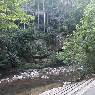 Profile Picture of Frances Patrick (@frances.patrick.378) on Facebook