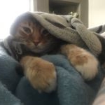 Profile Picture of William Reeder (@will.reeder.80) on Instagram