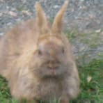 Christopher Gillis - Facebook Profile Picture of Christopher Gillis (@Christopher-Gillis) on Facebook