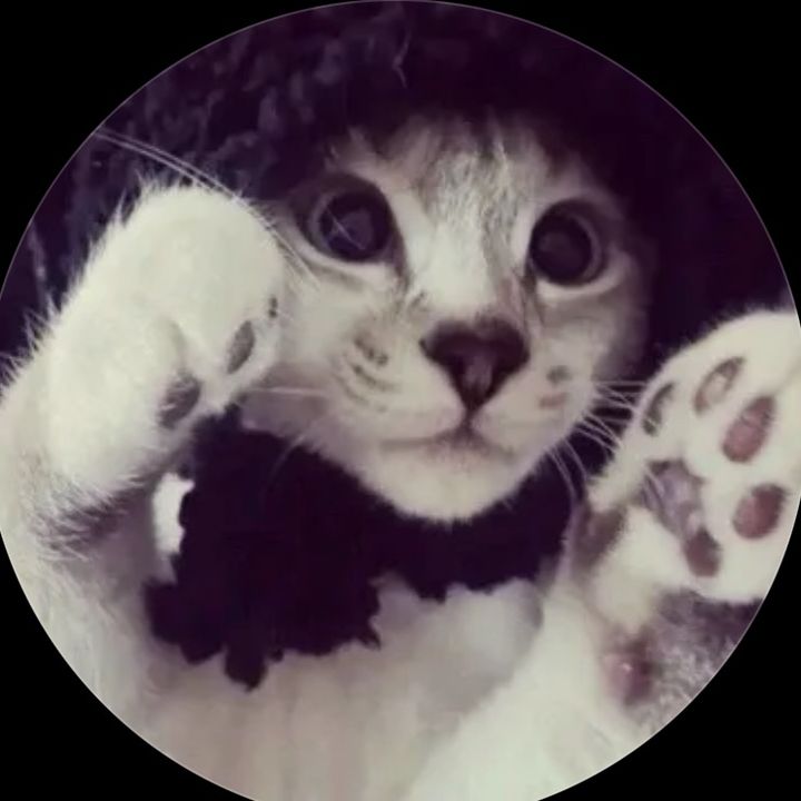Profile Picture of cathy. (@lvrcathyy1) on Tiktok