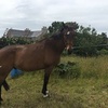 Profile Picture of Paula Huggard (@@paulahuggard) on Tiktok