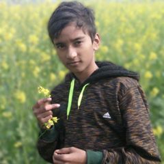 Profile Picture of Vivek Rocks (@vkingster) on Tiktok