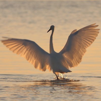 Profile Picture of Jay Lachance (@LachanceJay1) on Twitter