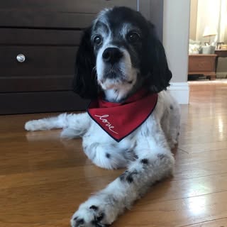 Profile Picture of Denise Clay (@denise.clay) on Instagram