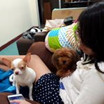 Profile Picture of Mike Resanti, Psi (@mommykia2020) on Instagram